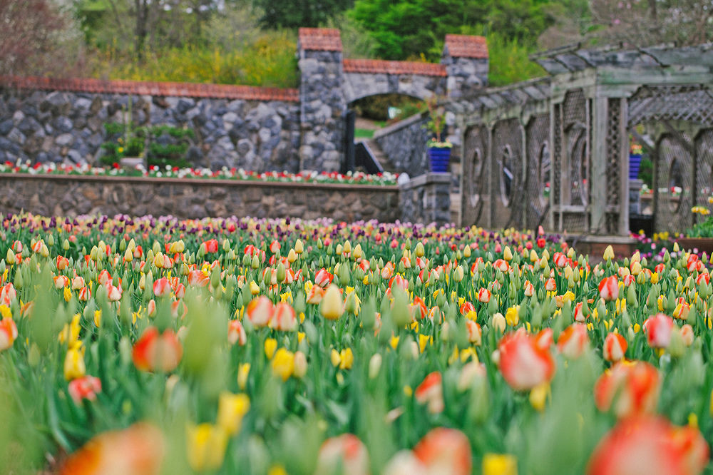 Village Hotel On Biltmore Estate アシュビル エクステリア 写真