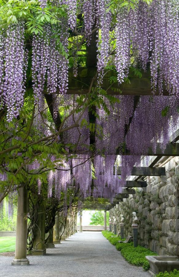 Village Hotel On Biltmore Estate アシュビル エクステリア 写真