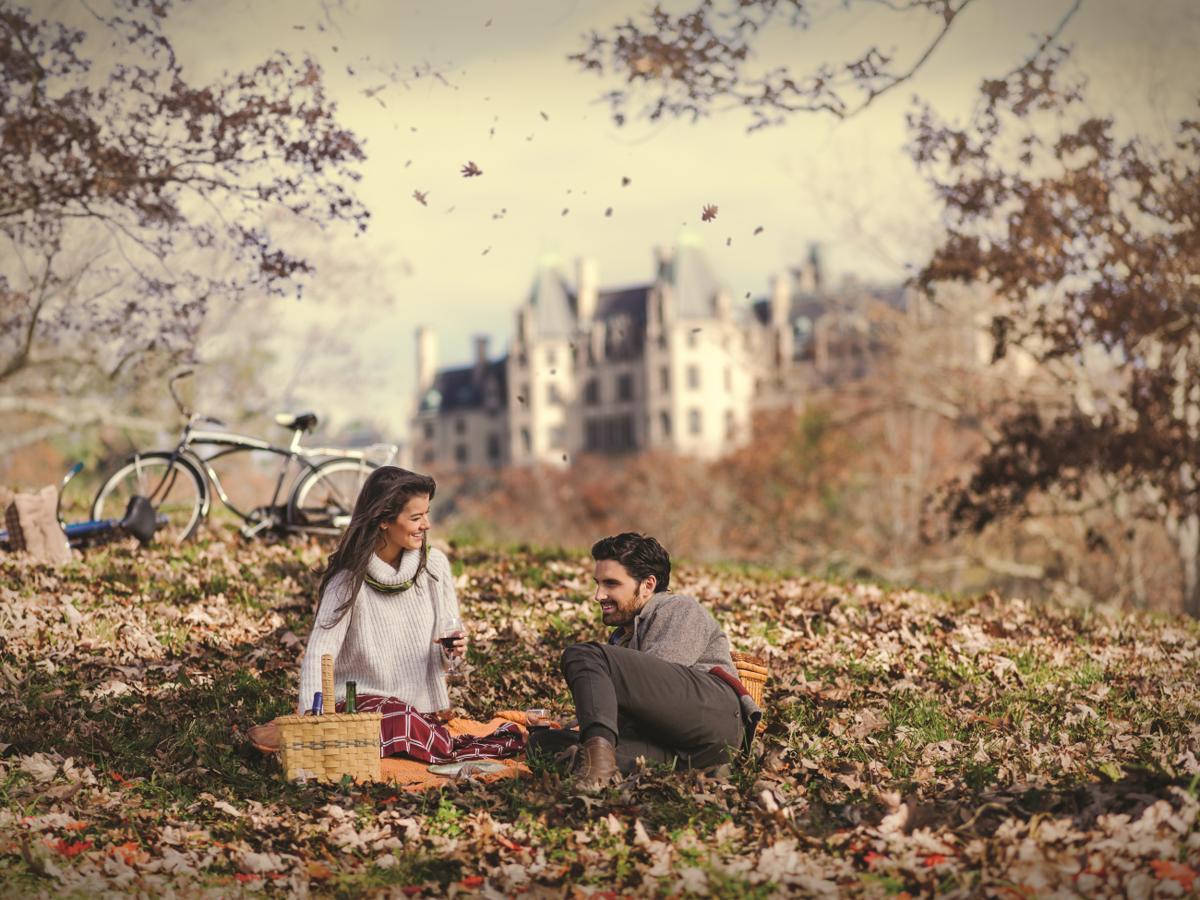 Village Hotel On Biltmore Estate アシュビル エクステリア 写真